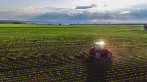 DEFRA consultation