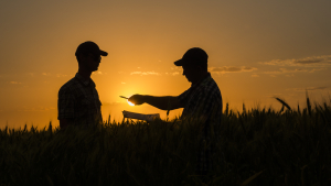 Seasonal workers